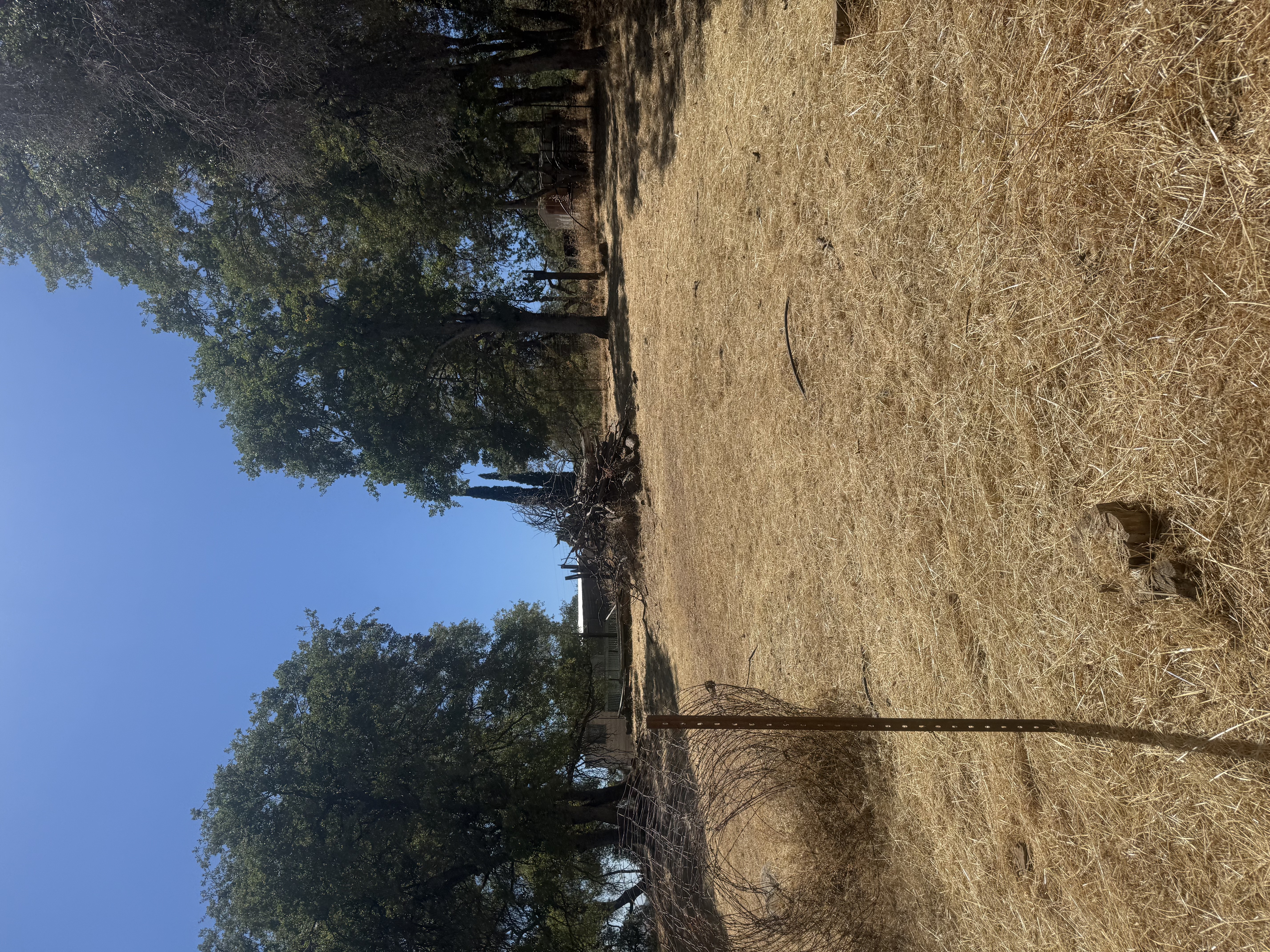 After weedwacking by Wacky Weedeating in Tuolumne County